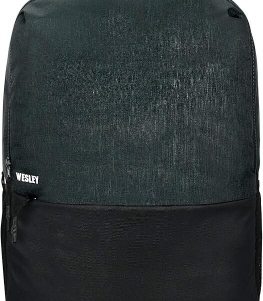 Wesley Milestone 2.0 Casual Waterproof Laptop Backpack/Office Bag/School Bag/College Bag/Business Bag/Travel Backpack (Dim...
